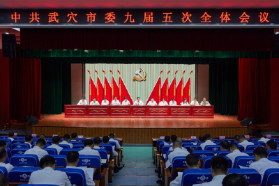 中共武穴市委九届五次全体会议举行