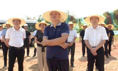 省人大城环委来我市开展调研