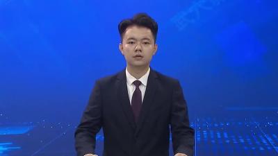 省政府调研组来我市调研中医药和特色文化传承发展工作