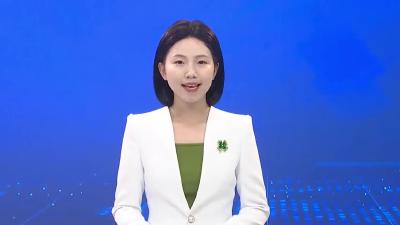 全市村庄分类及村庄规划三张图试点工作暨居民点提升规划汇报会召开