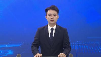 参加中共武穴市委九届五次全体会议的与会人员开展分组审议讨论