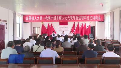 四望镇开展市镇两级人大代表述职评议活动