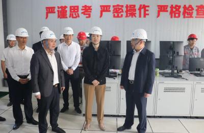 黄冈市委副书记、市长刘洁来我市深入企业帮扶 调度重点项目建设
