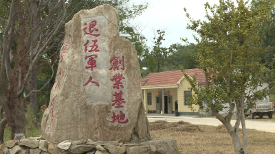 张伟：退伍不褪色 勇当致富带头人