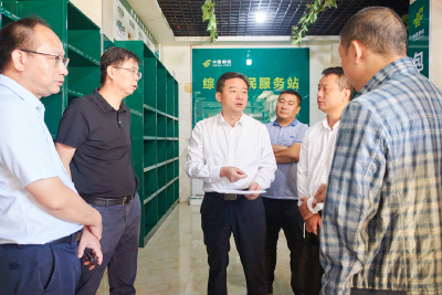 胡昊调研农村寄递网点建设工作