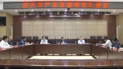 我市召开产业发展研究汇报会
