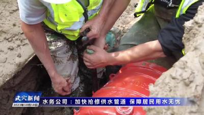 吴凯：回乡创业变身养牛“尖兵”