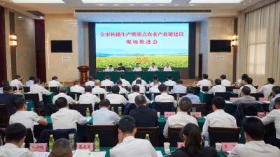 黄冈市秋播生产暨重点农业产业链建设现场推进会在我市召开