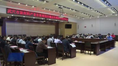 我市召开《武穴新材料产业发展规划及概念性规划》专家评审会