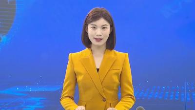 我市组织离退休老干部开展重阳节参观经济社会发展活动