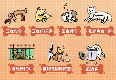 被狗咬住怎么办？这方法能保命→