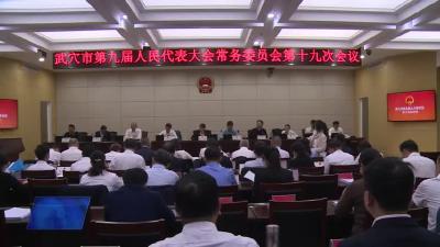 市第九届人大常委会第十九次会议召开