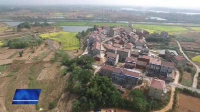 大金镇: 践行全会精神，绘就高质量发展新画卷