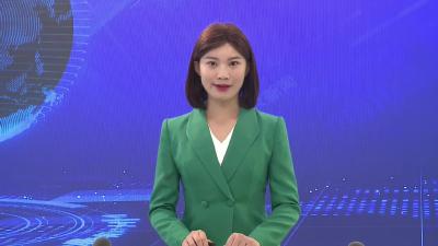 大法寺镇：秋冬油菜移栽忙