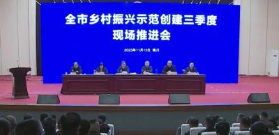 全市乡村振兴示范创建三季度现场推进会召开