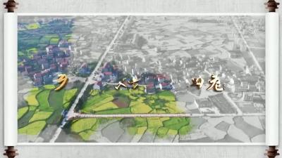 大金镇苏垴社区：党建引领擦亮乡村振兴底色