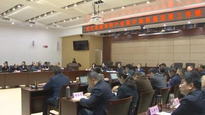 我市召开城市和产业集中高质量发展工作推进会