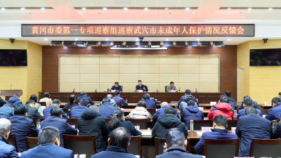 黄冈市委第一专项巡察组巡察武穴市未成年人保护情况反馈会议召开