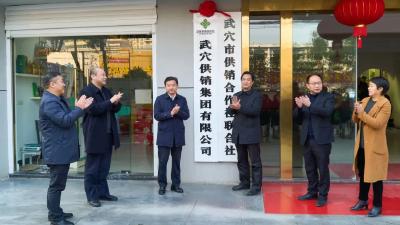 武穴供销集团正式挂牌成立  