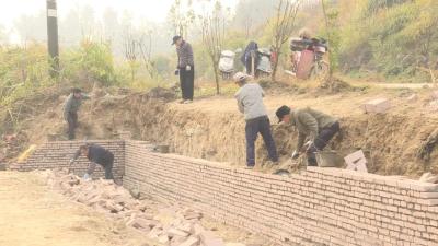 【城镇管理百日攻坚】上下联动，多措并举，武穴掀起美丽城乡建设新热潮（五十八）