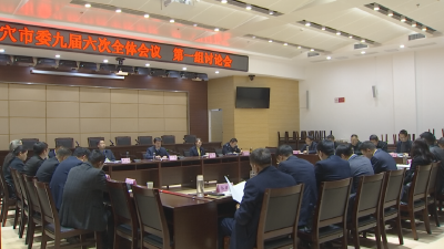 中國共產黨武穴市第九屆委員會第六次全體會議開展分組討論