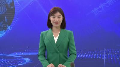 查俊就市政府工作征询市人大常委会及人大代表意见建议