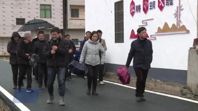 大法寺镇：乡村振兴示范创建拉练 营造比学赶超创建氛围