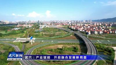 武穴：产业赋能 开启融合发展新局面