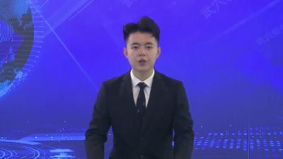“墨流千年 文润龙坪”理论宣讲暨文艺巡演走进龙坪镇向文村