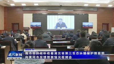 我市组织收听收看湖北省第三生态环境保护督察组向黄冈市反馈督察情况视频会