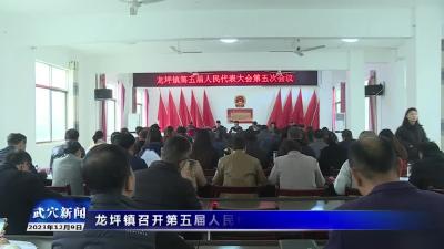 龙坪镇召开第五届人民代表大会第五次会议