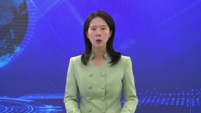 低温寒潮来袭 蔬菜防冻有妙招