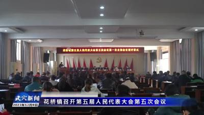 花桥镇召开第五届人民代表大会第五次会议