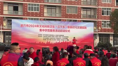 2024年文化科技卫生“三下乡”暨新时代文明实践集中示范服务活动走进石佛寺镇陈德容村