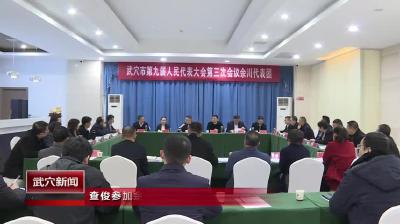 查俊参加余川、龙坪代表团审议