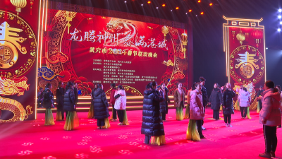 我市全力做好龙年春晚安全保障工作