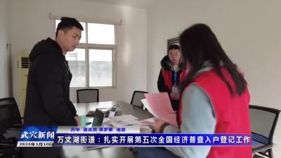 万丈湖街道：扎实开展第五次全国经济普查入户登记工作