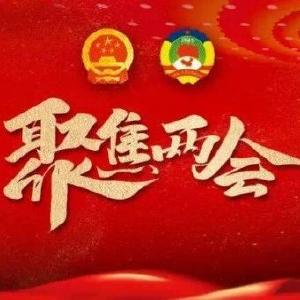 聚焦两会｜2024年，武穴市这六个方面实事值得期待！