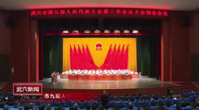 市九届人民代表大会第三次会议举行预备会议