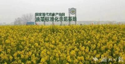 黄冈发布9项地方标准
