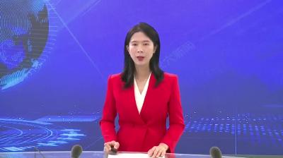 查俊参加武穴、大法寺代表团审议