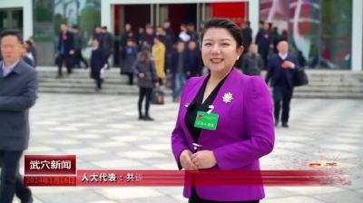 人大代表：共谋发展 共话未来