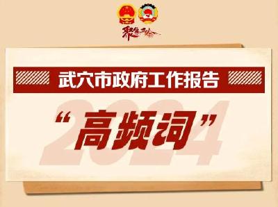 聚焦两会｜划重点！政府工作报告高频词出炉！