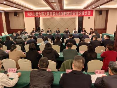 【黄冈“两会”传真】武穴代表团继续审议黄冈市政府工作报告及有关报告