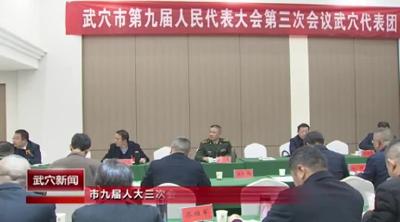 市九届人大三次会议召开代表团召集人会议