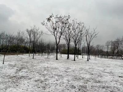 雨雪已至！武穴人出行请注意→