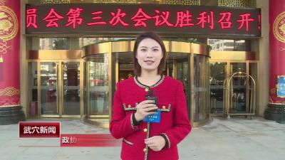政协委员：喜迎两会 畅谈发展