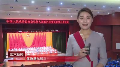 政协第九届武穴市委员会第三次会议胜利闭幕