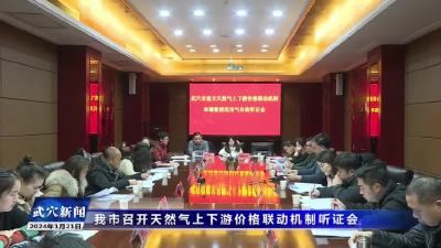 我市召开天然气上下游价格联动机制听证会