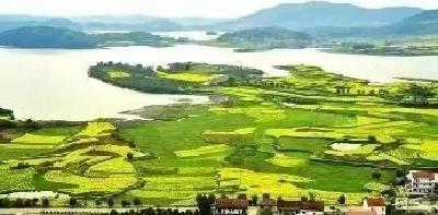 湖北新增12家标准化管理灌区，武穴两处上榜……